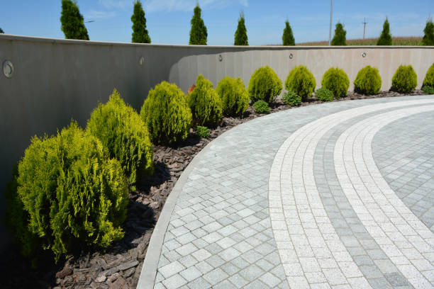 Best Custom Driveway Pavers  in Land O Lakes, FL