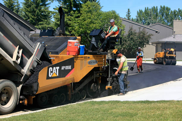 Best Local Driveway Pavers  in Land O Lakes, FL